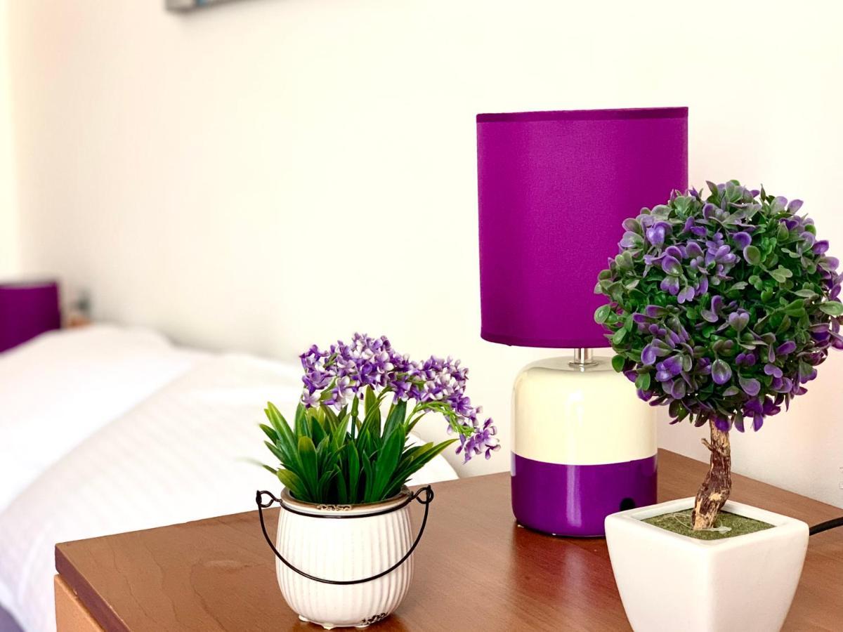 Hotel apartamentowy House Ivana Vuksanovic